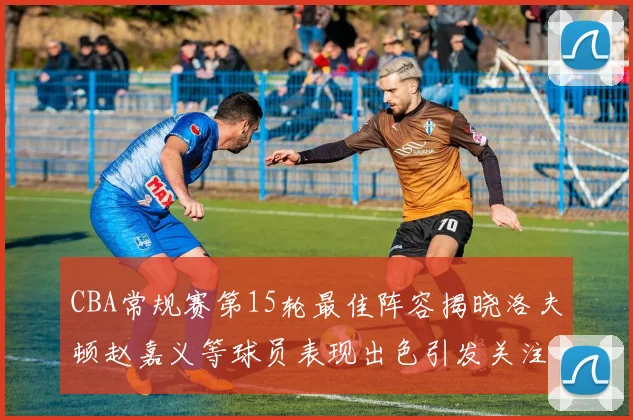 CBA常规赛第15轮最佳阵容揭晓洛夫顿赵嘉义等球员表现出色引发关注